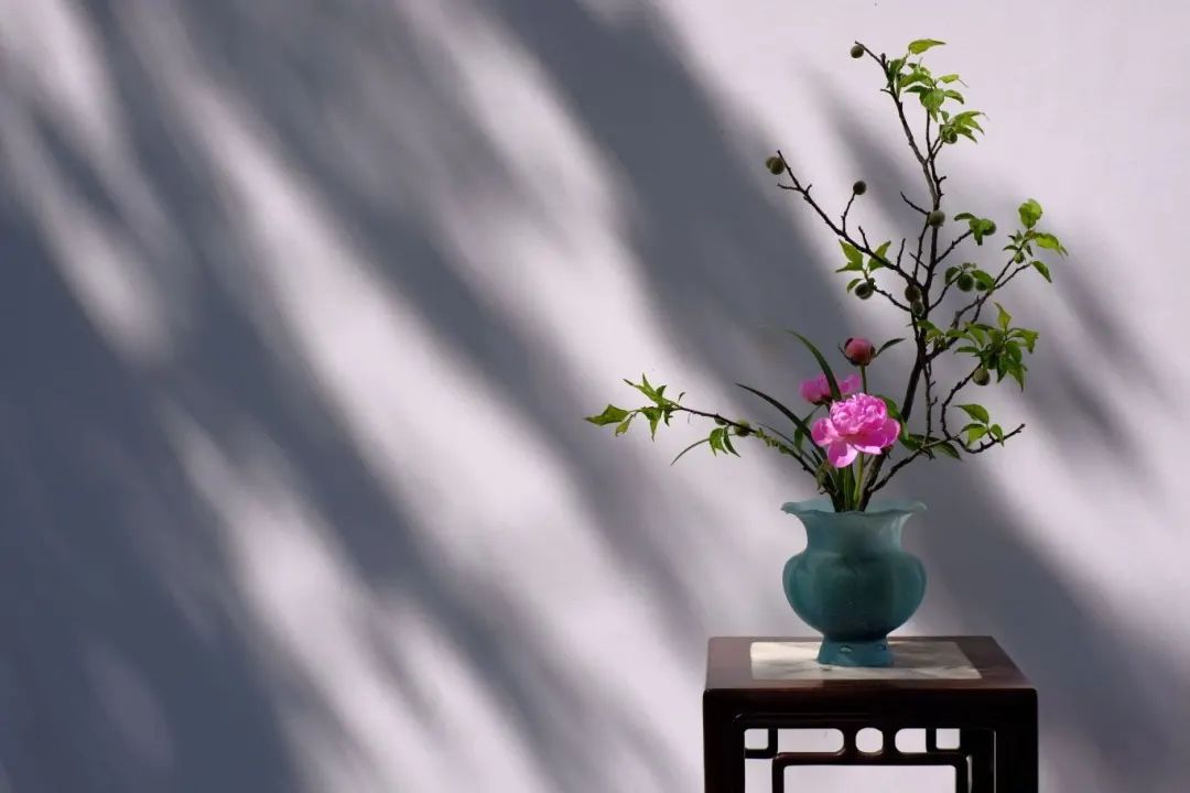 微信图片_20240327094759